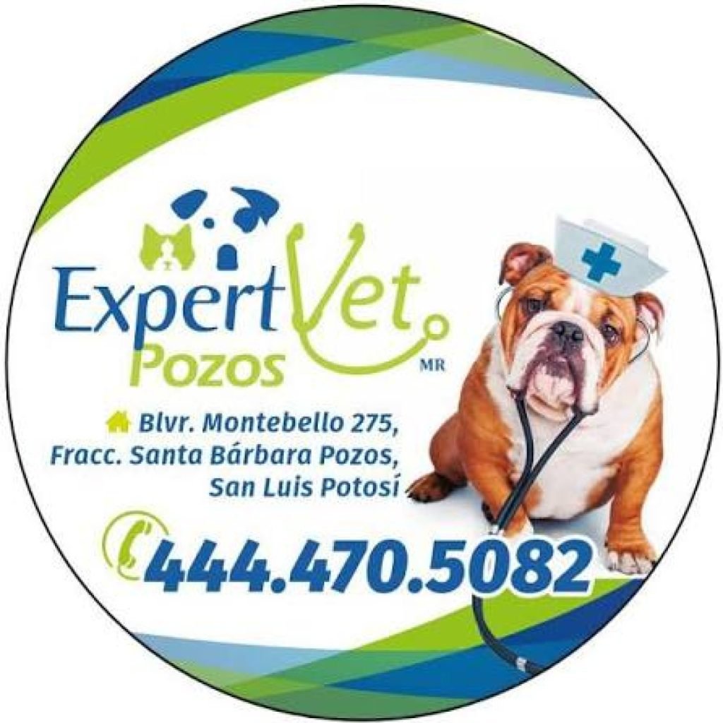 Veterinaria expertvet pozos